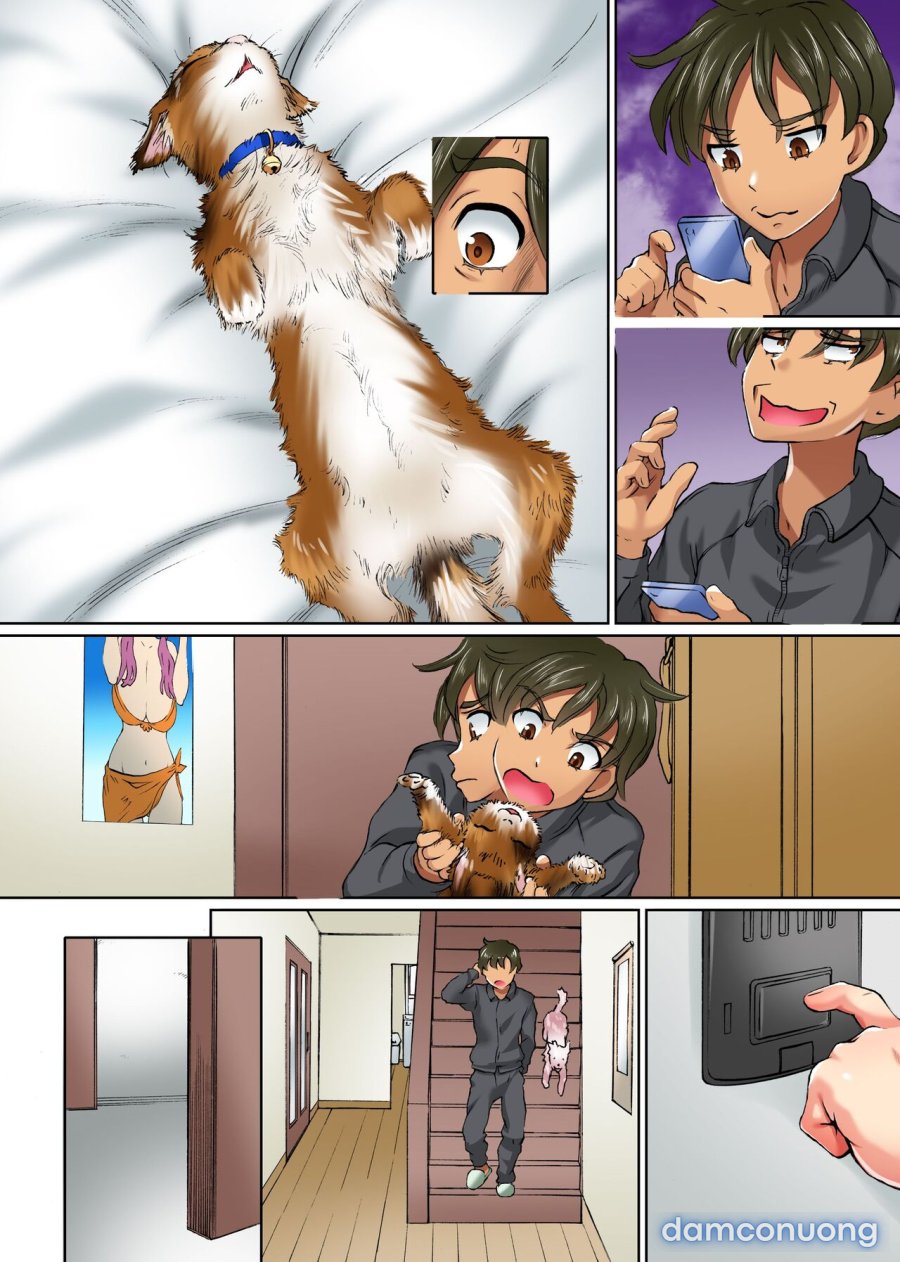 Anoko mo Konoko mo Hyoui de Hatsujou 