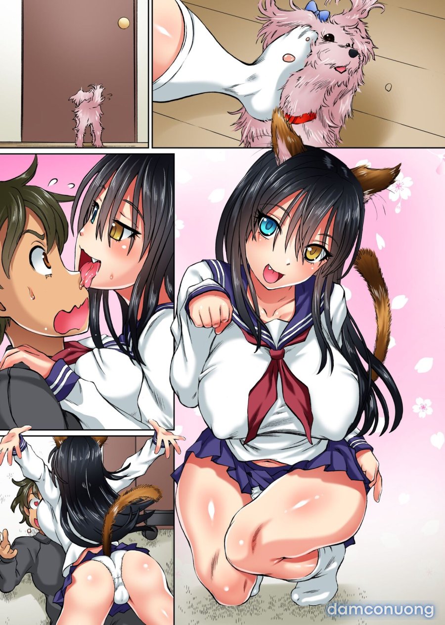 Anoko mo Konoko mo Hyoui de Hatsujou 