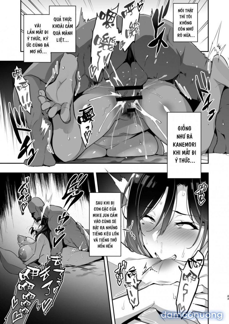 Shidarere Sakura Hakuraku Keika 2212 