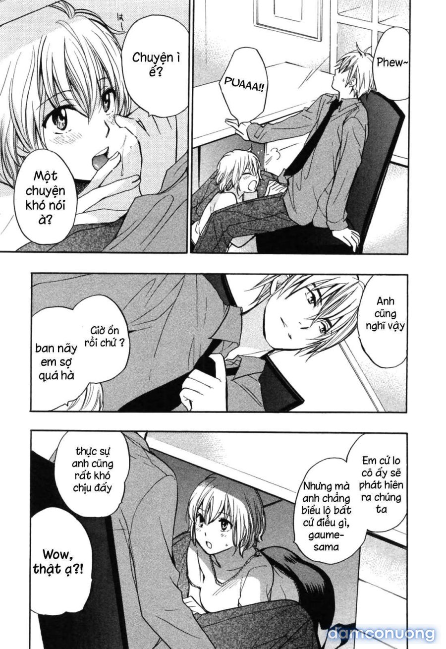 Koi wo Suru no Ga Shigoto Desu 