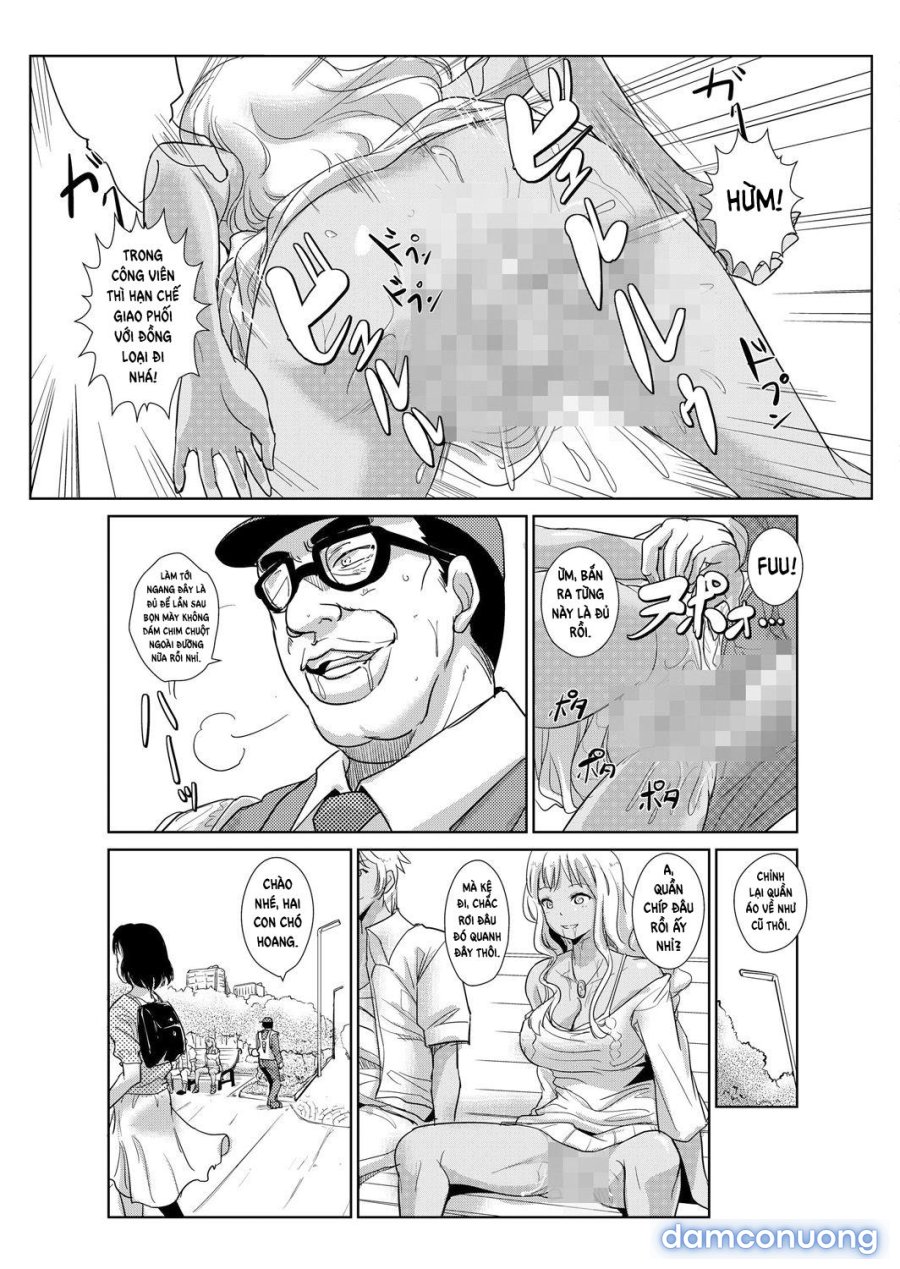 Seisai Jikan ~Namaiki na JK, JD, Hitozuma ni Kyousei Nakadashi!! 