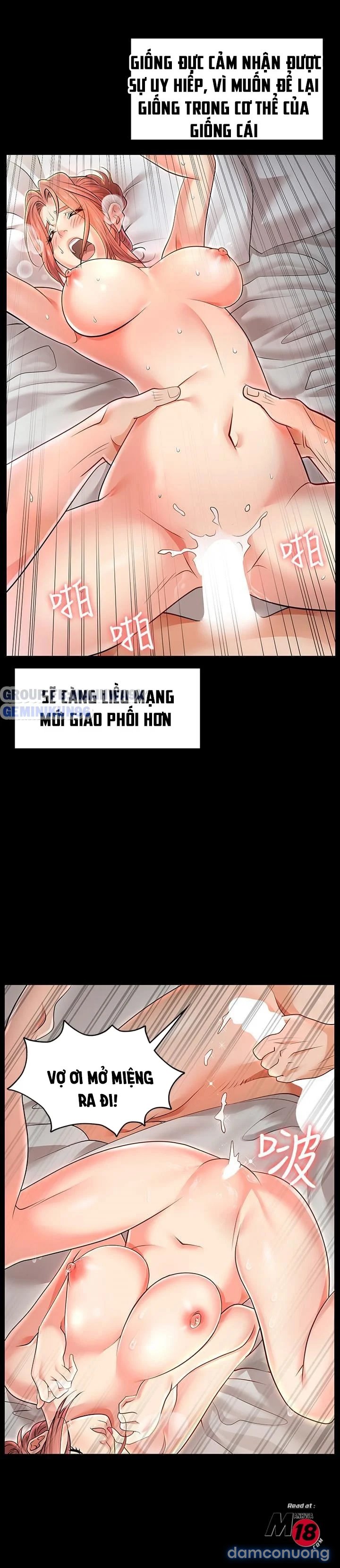Hoán đổi vợ chồng 