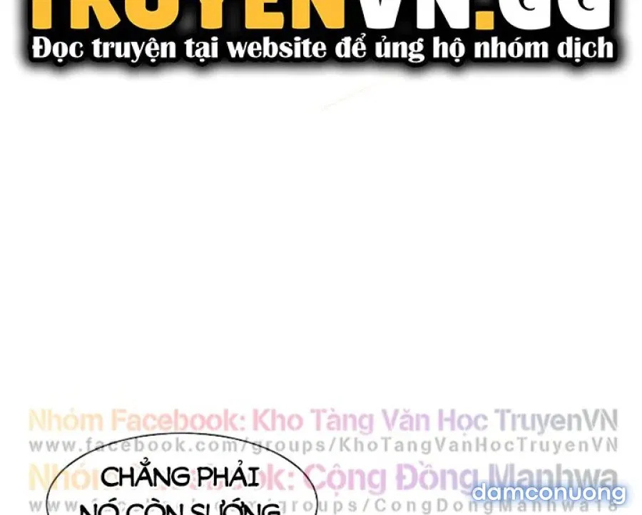Cô Dâu Thời Thơ Ấu Của Tôi 