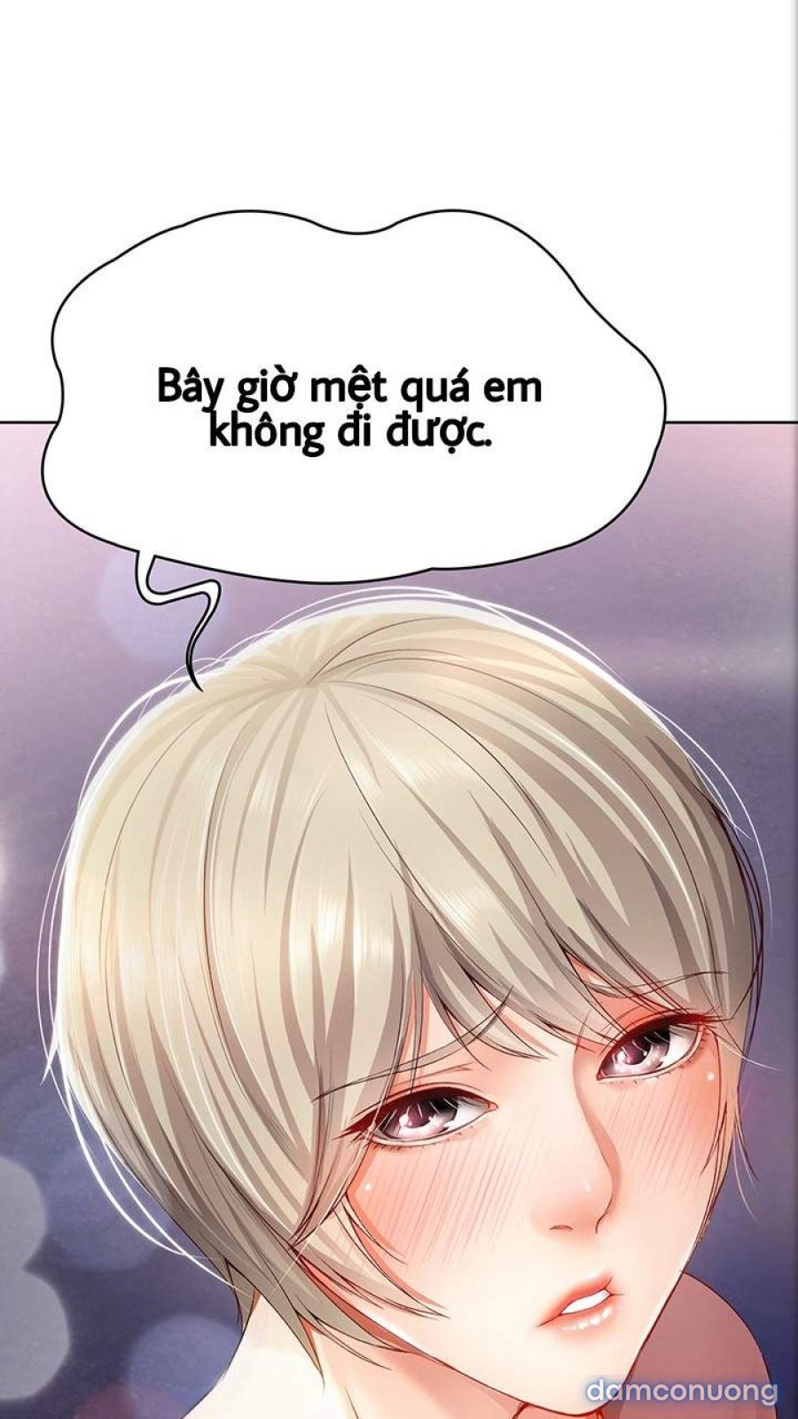 Chuyện Tình Xóm Nội Trú 