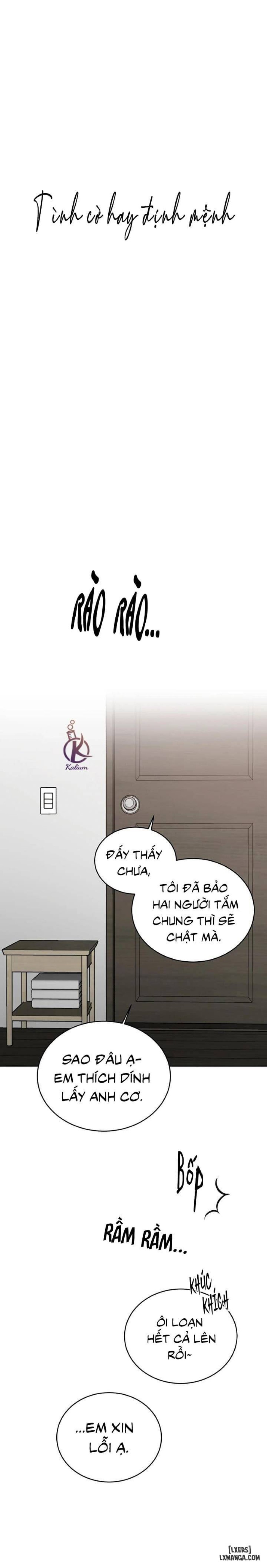 Tình cờ hay định mệnh 