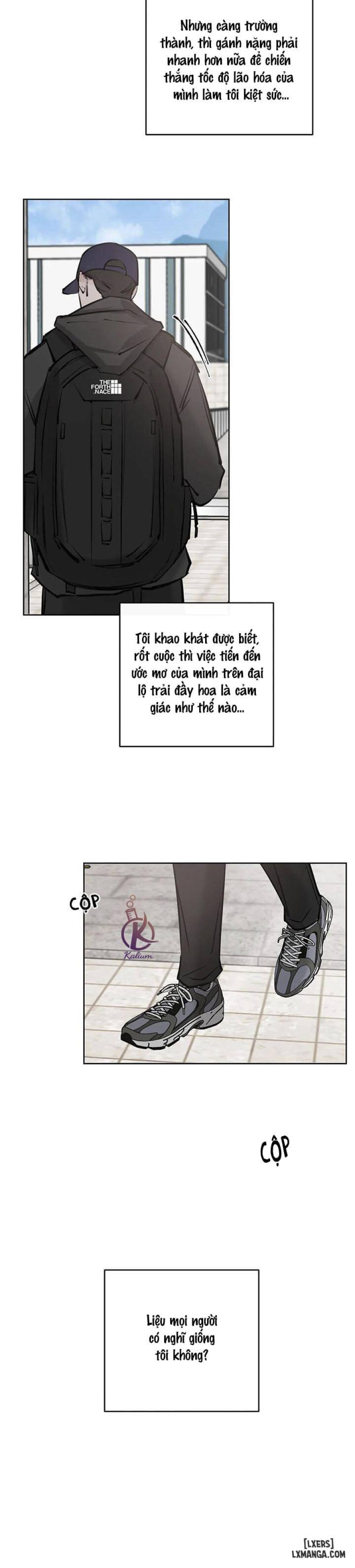 Tình cờ hay định mệnh 