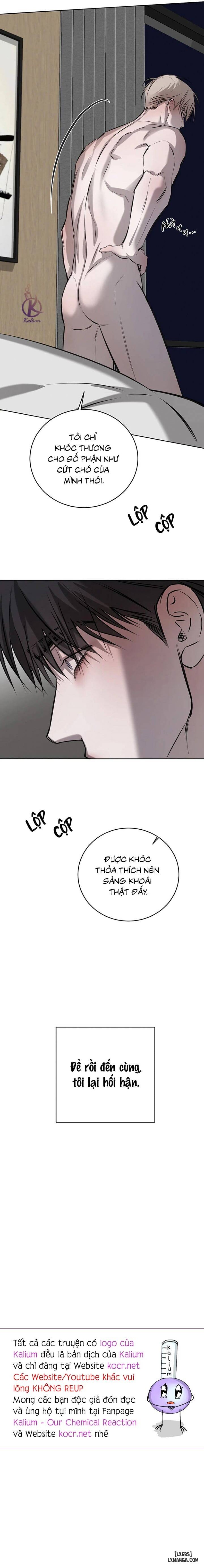 Tình cờ hay định mệnh 
