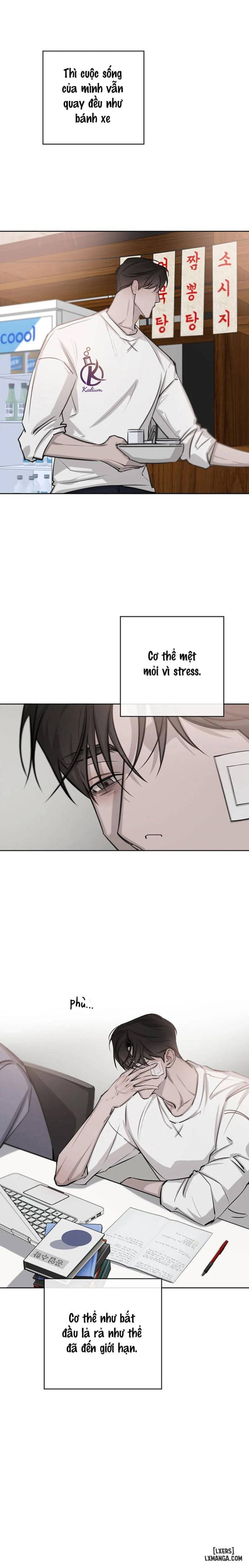 Tình cờ hay định mệnh 