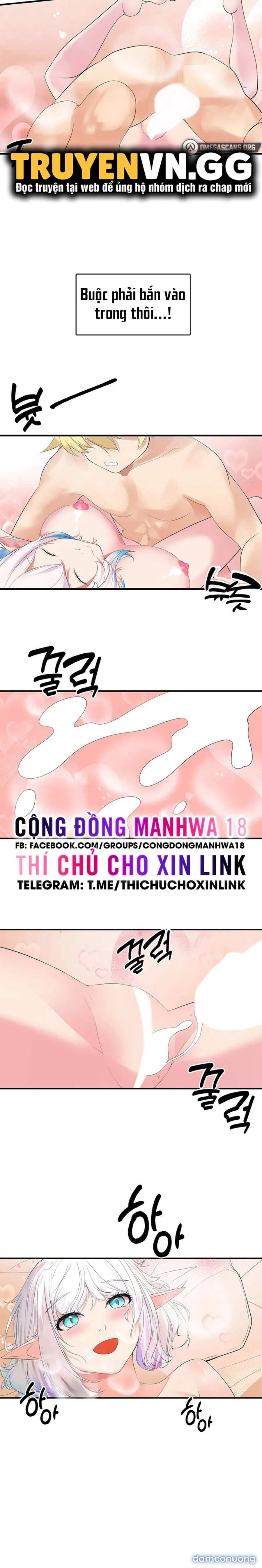 Hiệp Sĩ Nô Lệ Của Elf 