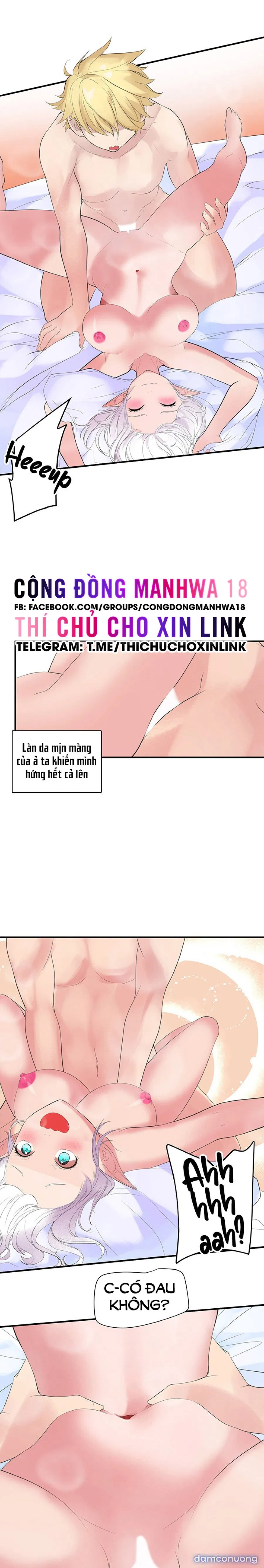 Hiệp Sĩ Nô Lệ Của Elf 