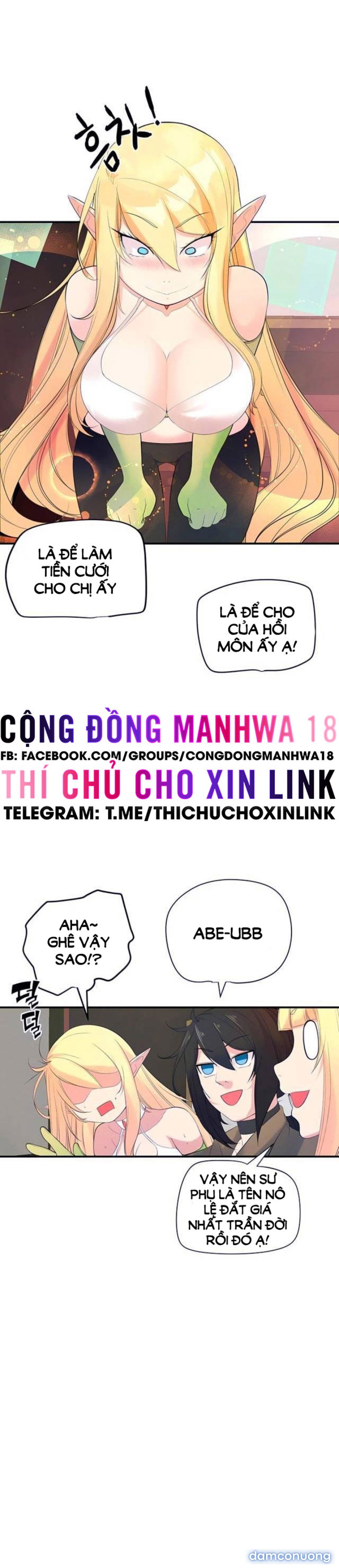 Hiệp Sĩ Nô Lệ Của Elf 