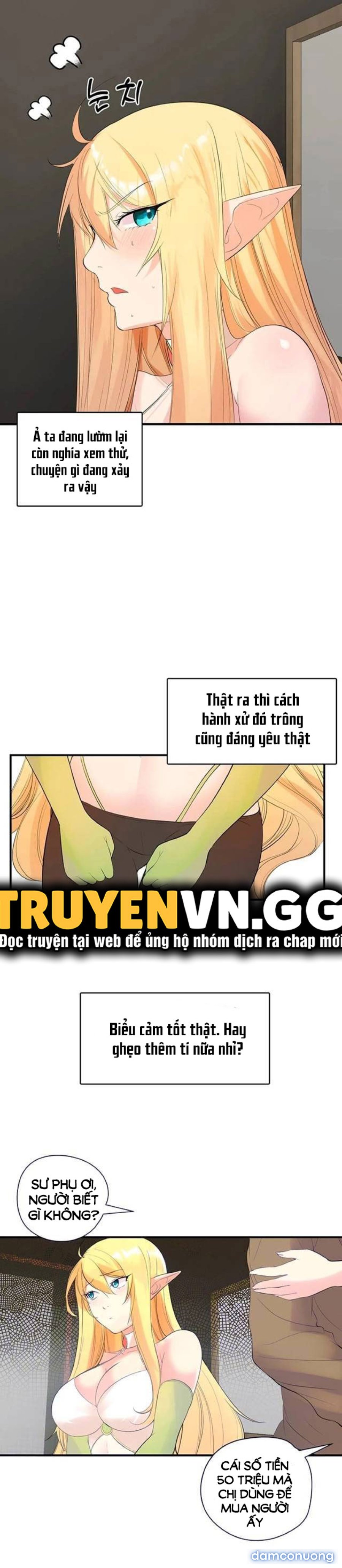Hiệp Sĩ Nô Lệ Của Elf 