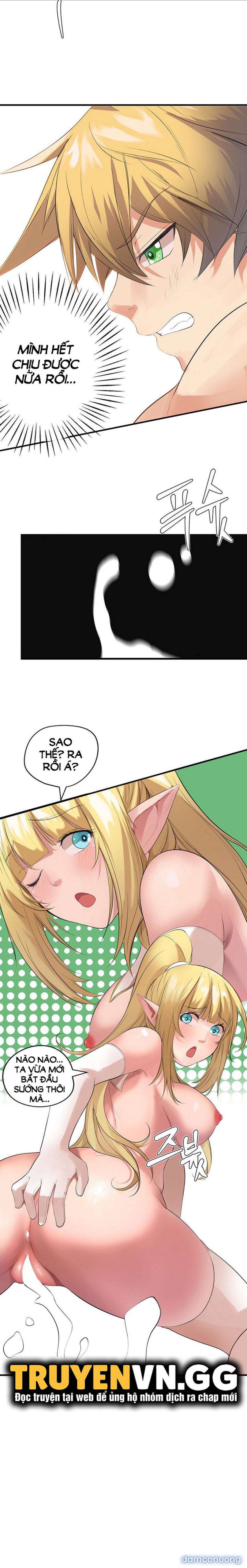 Hiệp Sĩ Nô Lệ Của Elf 