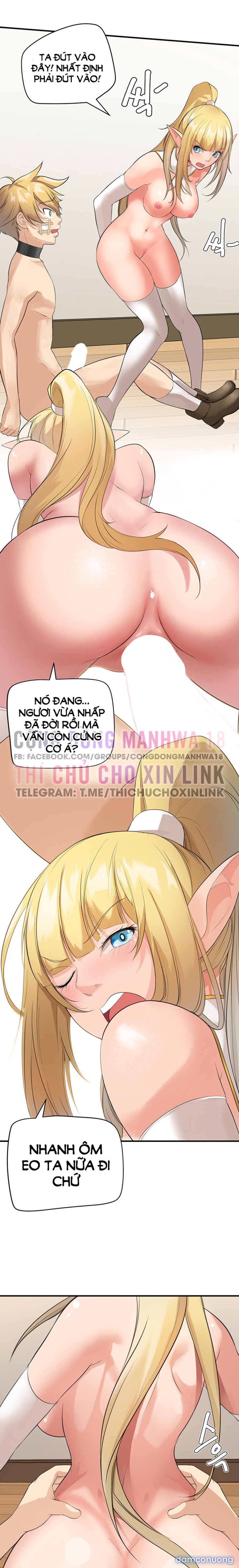 Hiệp Sĩ Nô Lệ Của Elf 