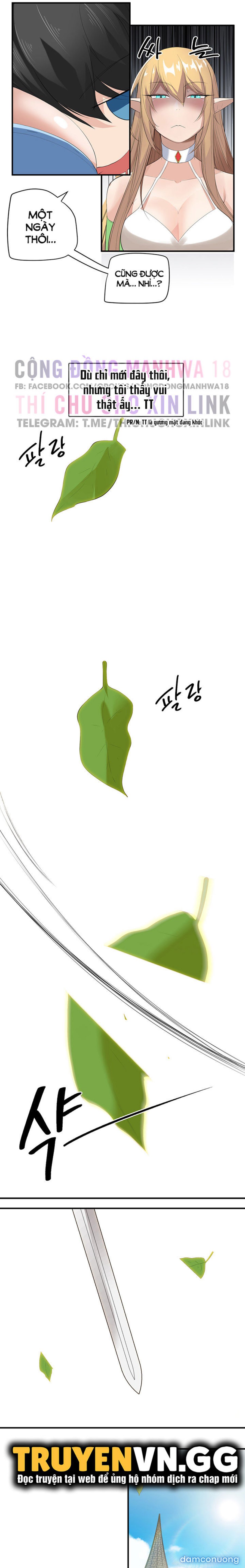 Hiệp Sĩ Nô Lệ Của Elf 