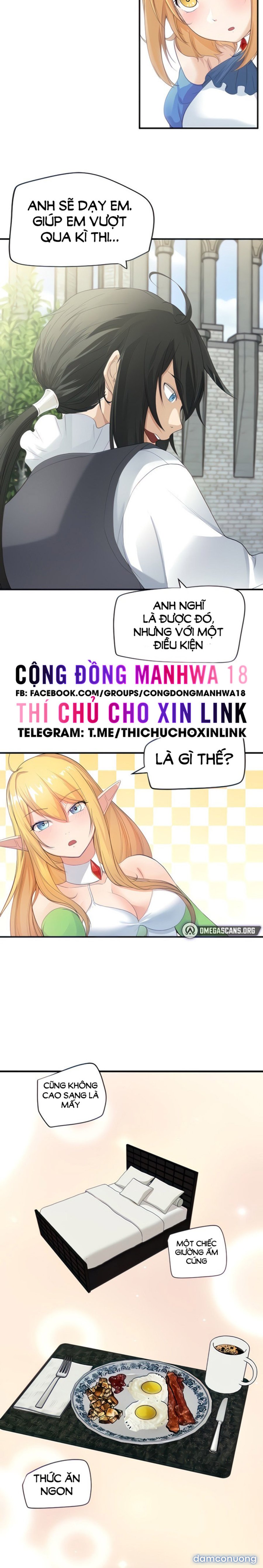 Hiệp Sĩ Nô Lệ Của Elf 