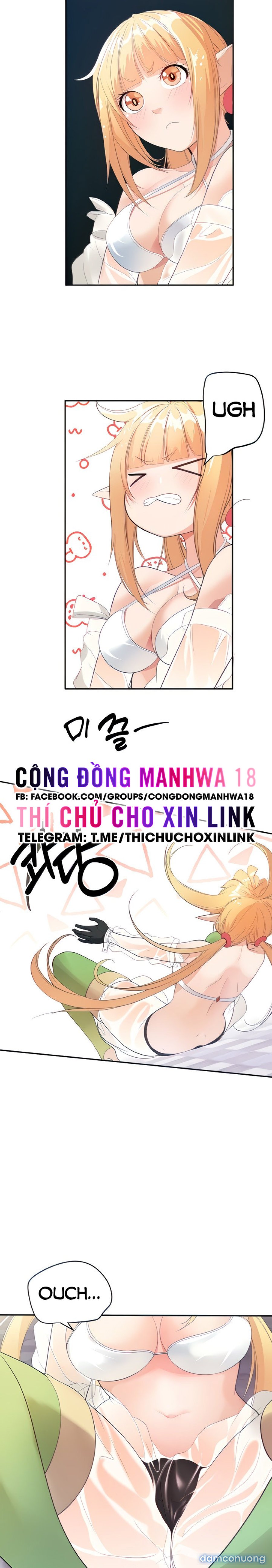 Hiệp Sĩ Nô Lệ Của Elf 