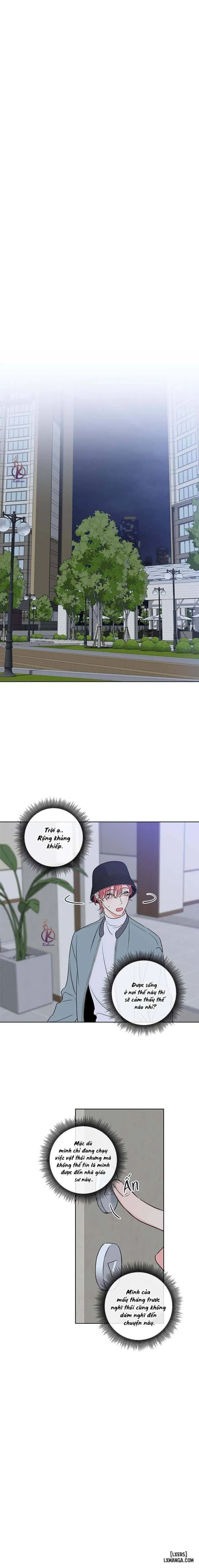 Rắc rối ngọt ngào - Honey trouble 