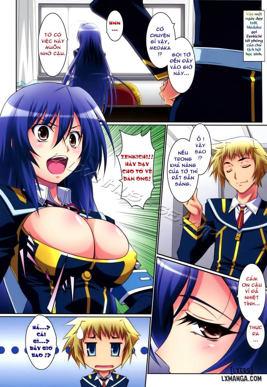 Medaka Cute 