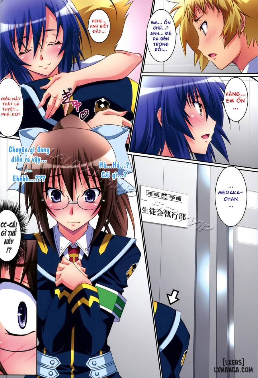 Medaka Cute 