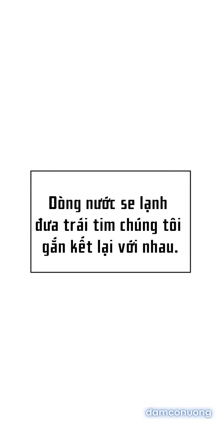 Người Dì Khiêu Gợi 
