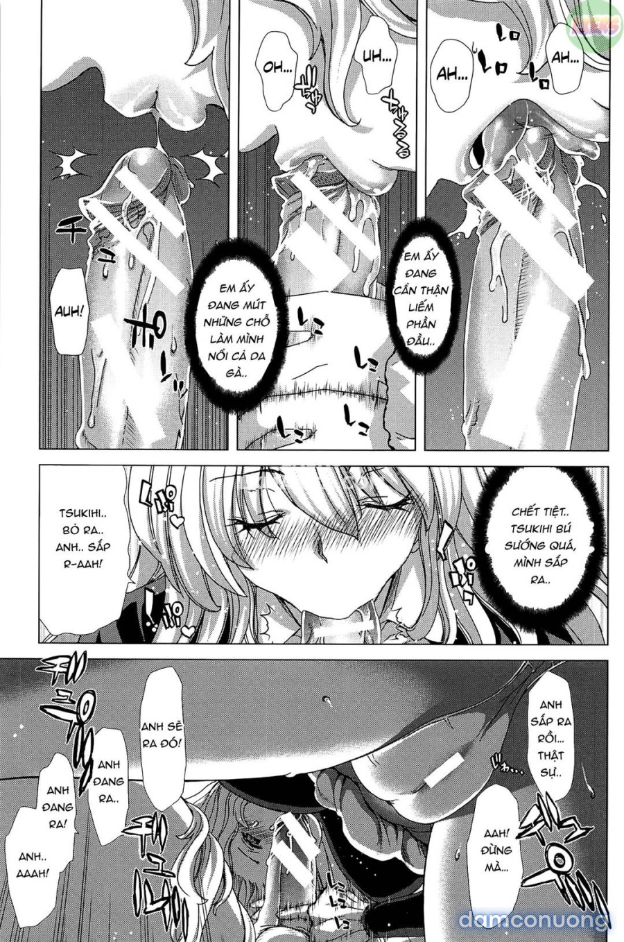 Saki ~Kazoku Meikyuu 