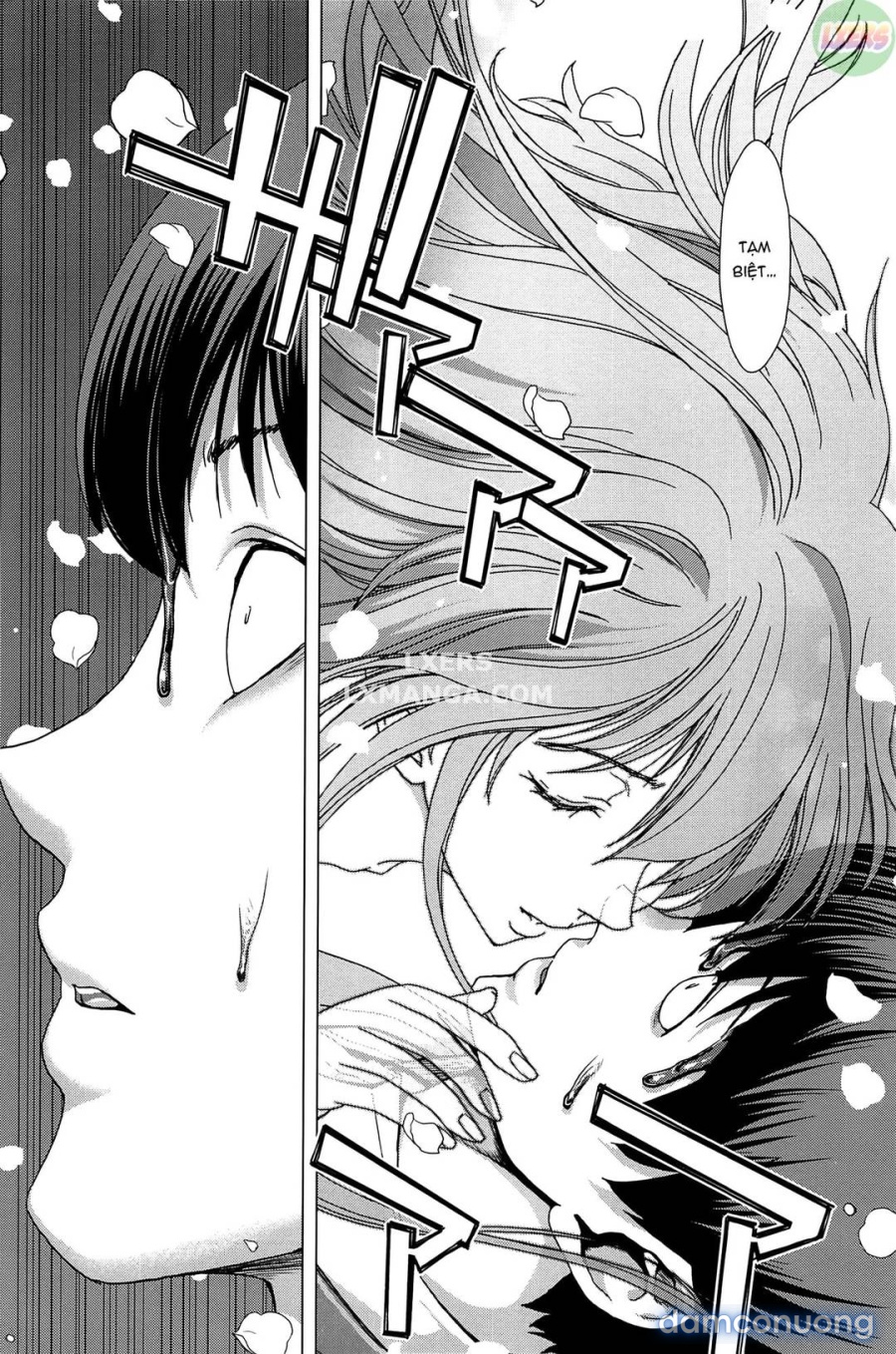 Saki ~Kazoku Meikyuu 