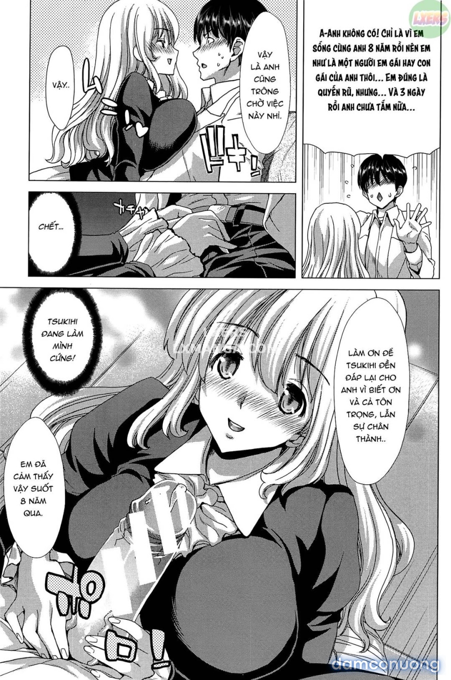 Saki ~Kazoku Meikyuu 