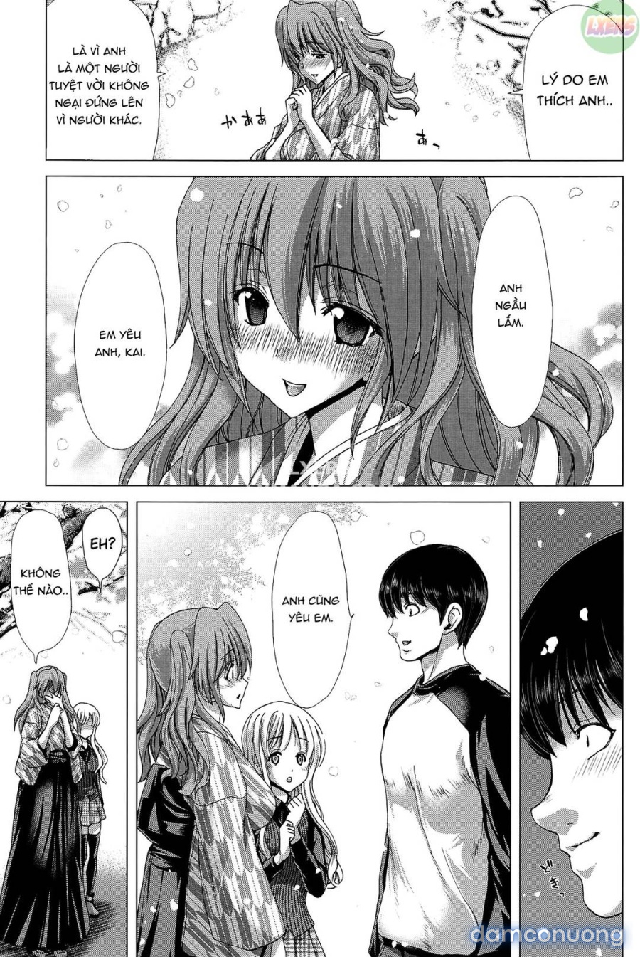 Saki ~Kazoku Meikyuu 
