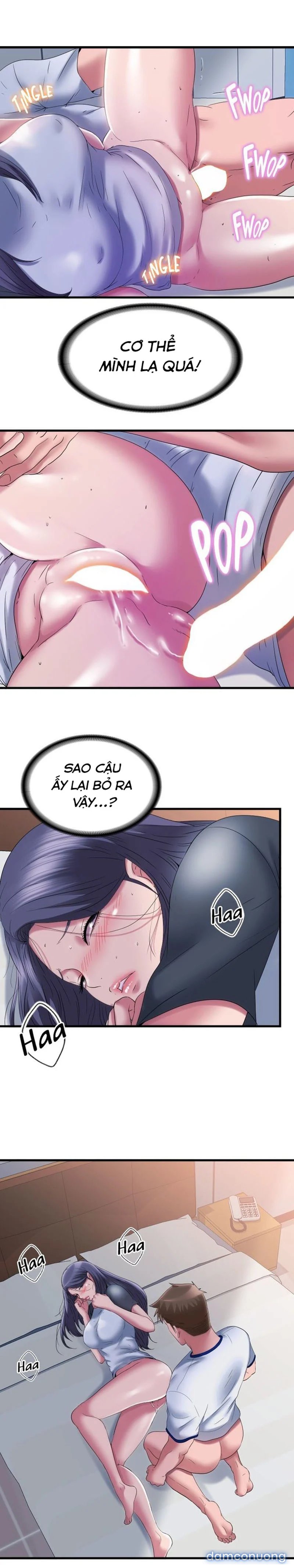Nước Tràn Hồ Bơi 
