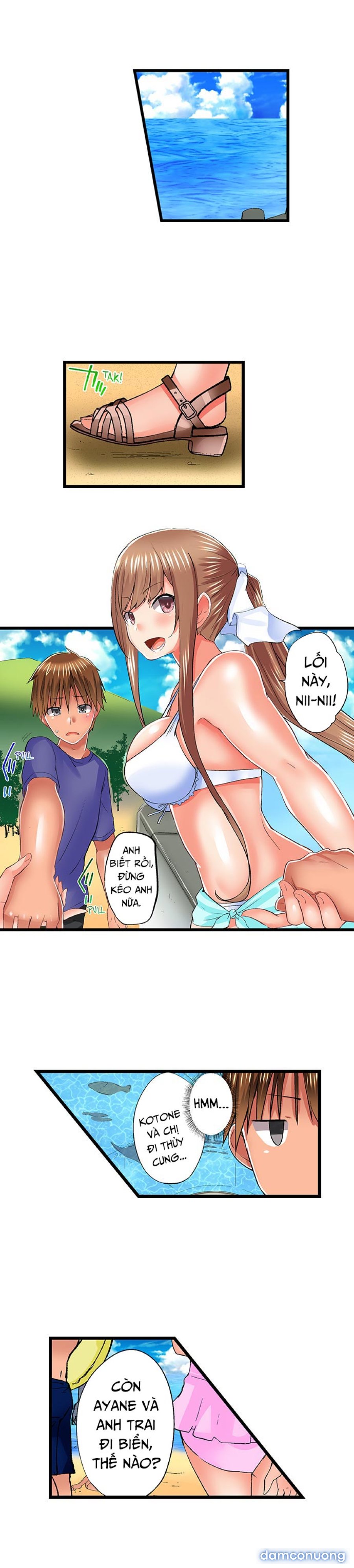 Anh trai và hai cô em dâm dãng 