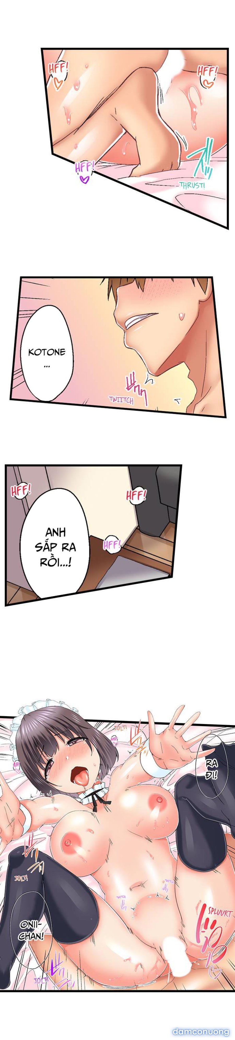 Anh trai và hai cô em dâm dãng 