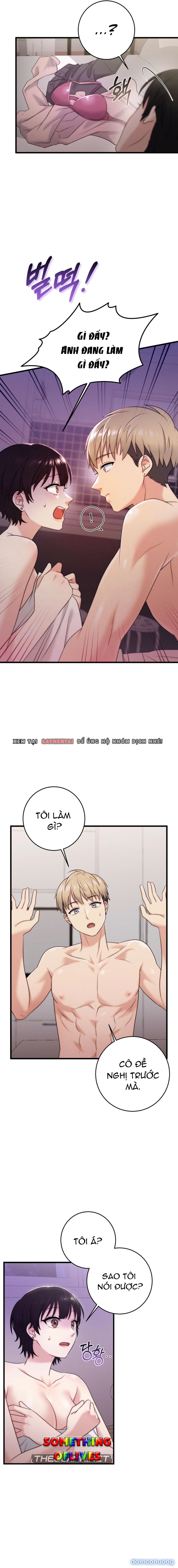 Người Tình Của Em 