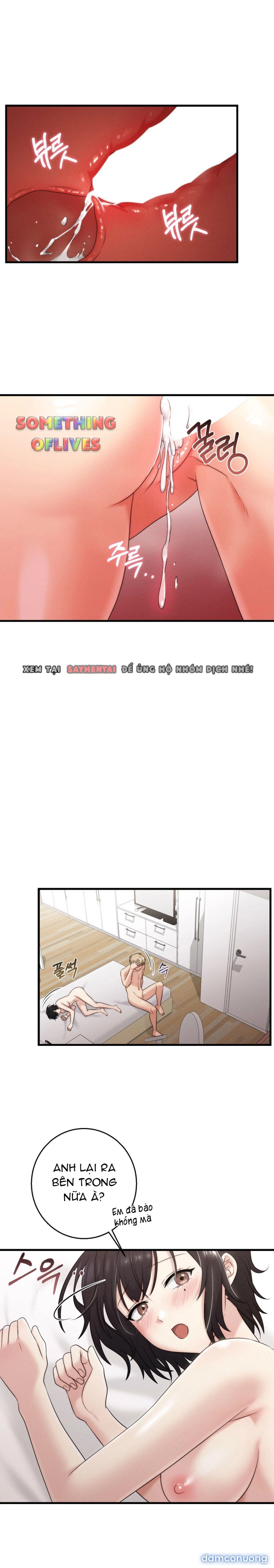 Người Tình Của Em 