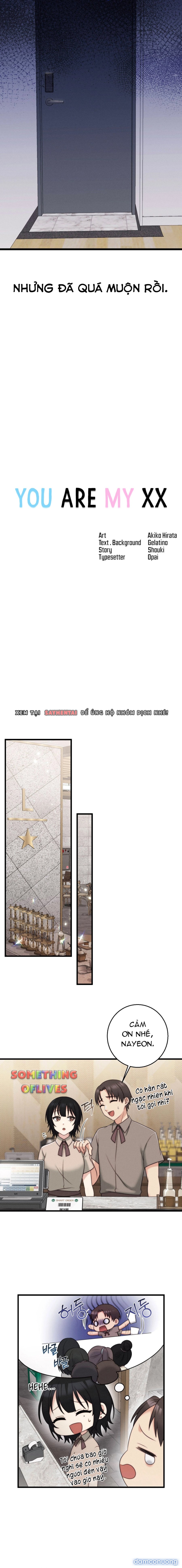 Người Tình Của Em 