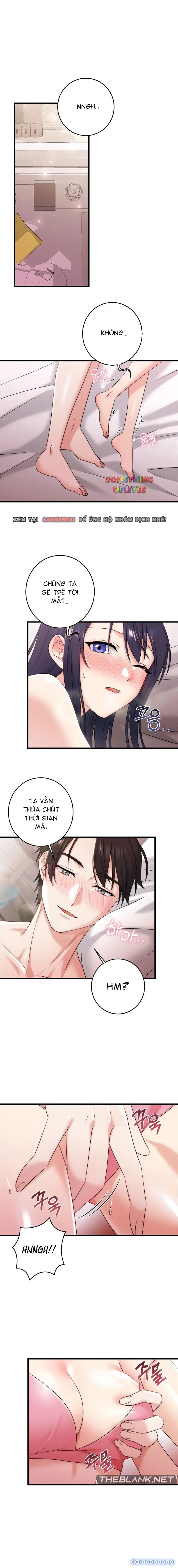 Người Tình Của Em 