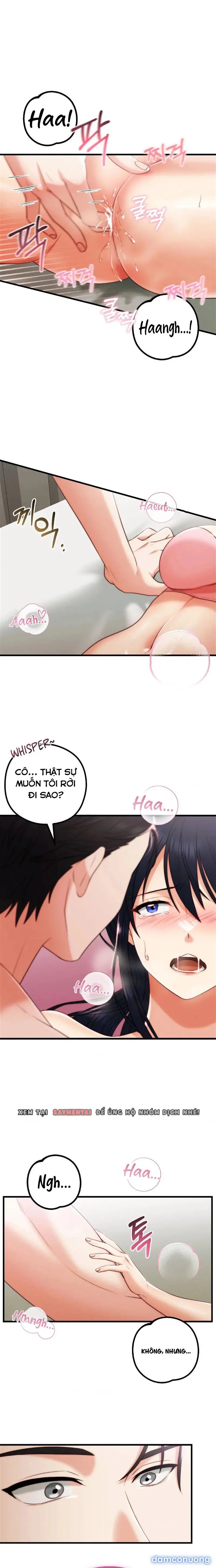 Người Tình Của Em 