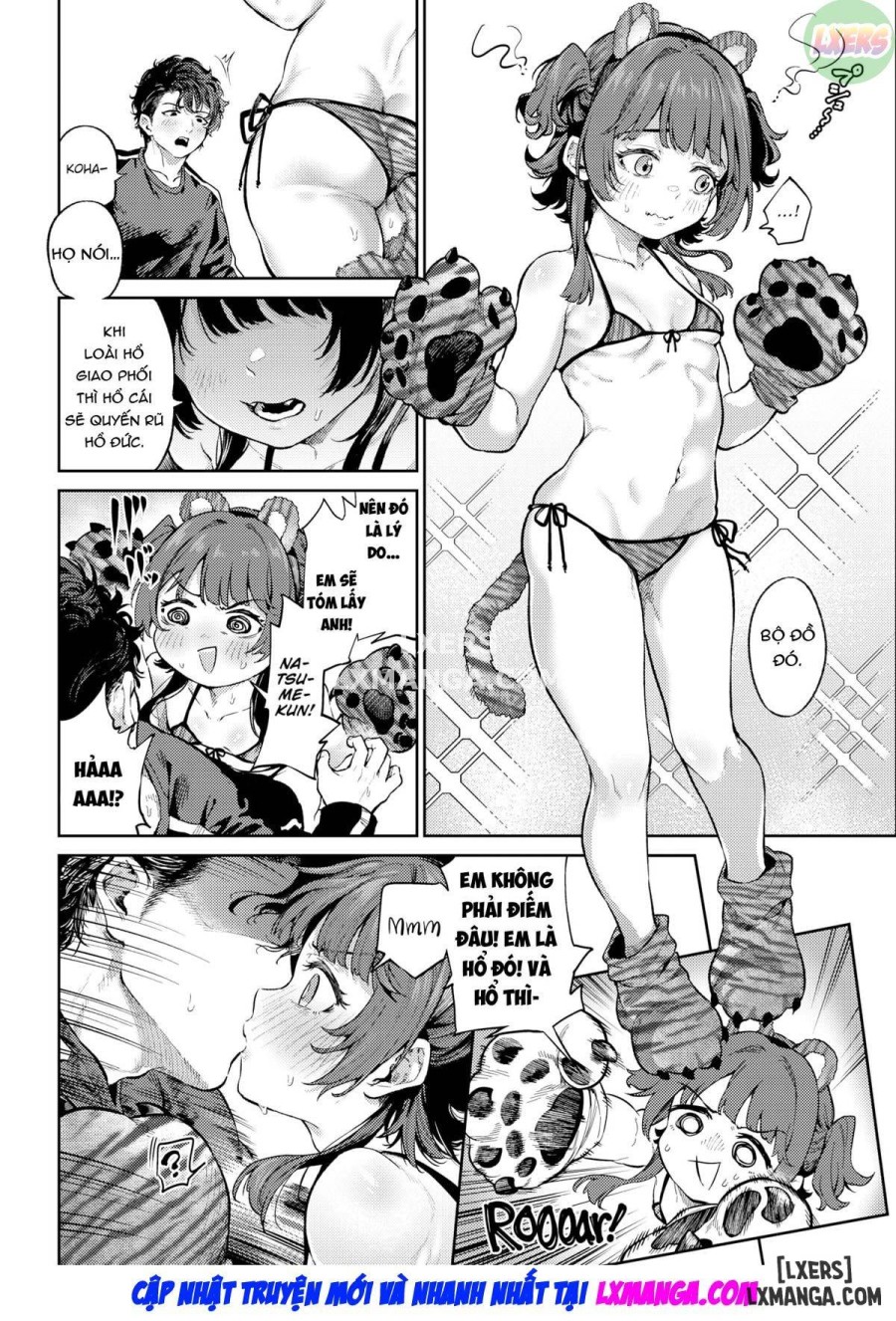 Tiger's Spring 