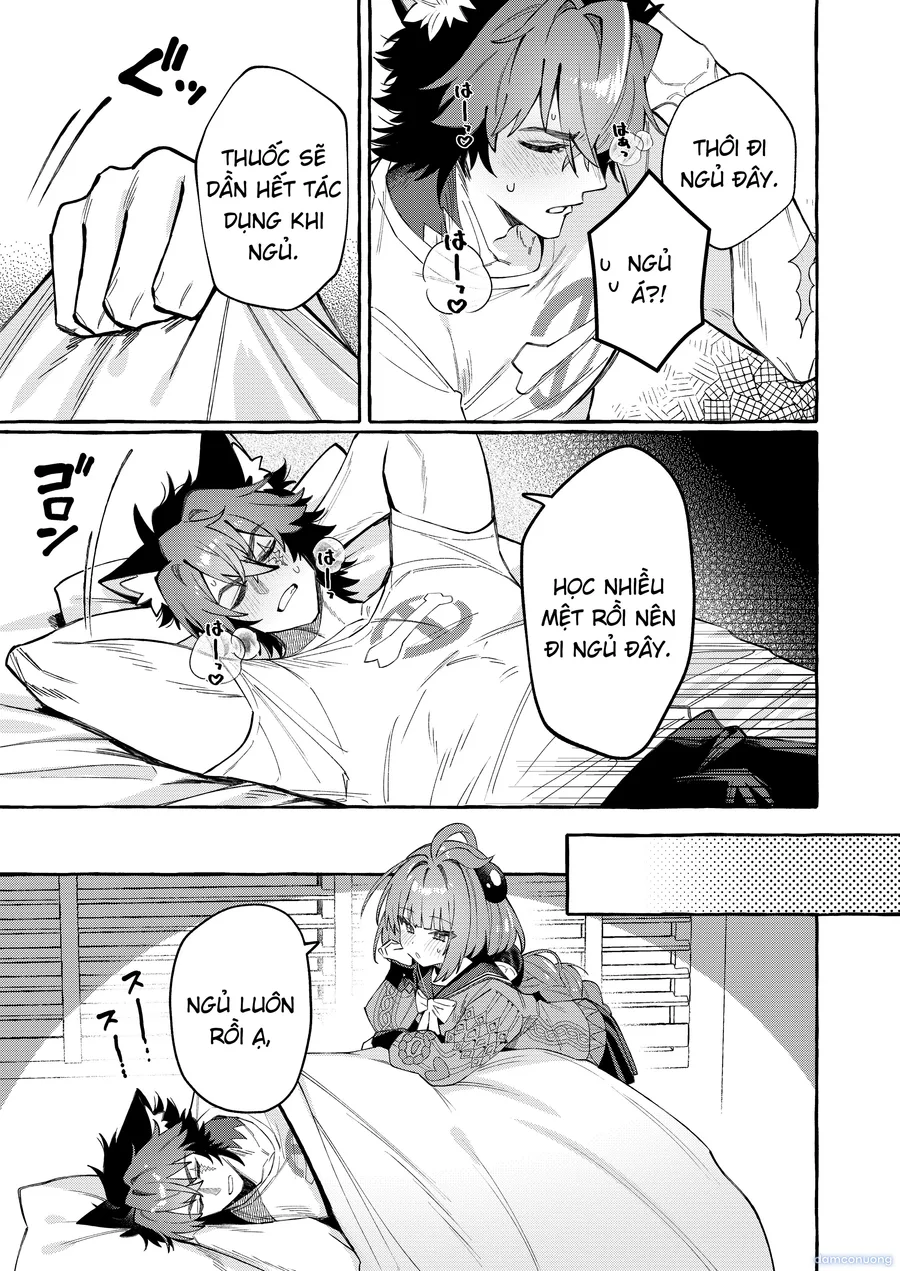 Inu Ichidai ni Tanuki Ippiki 