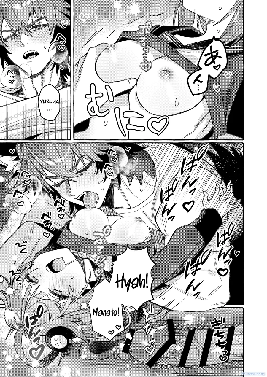 Inu Ichidai ni Tanuki Ippiki 