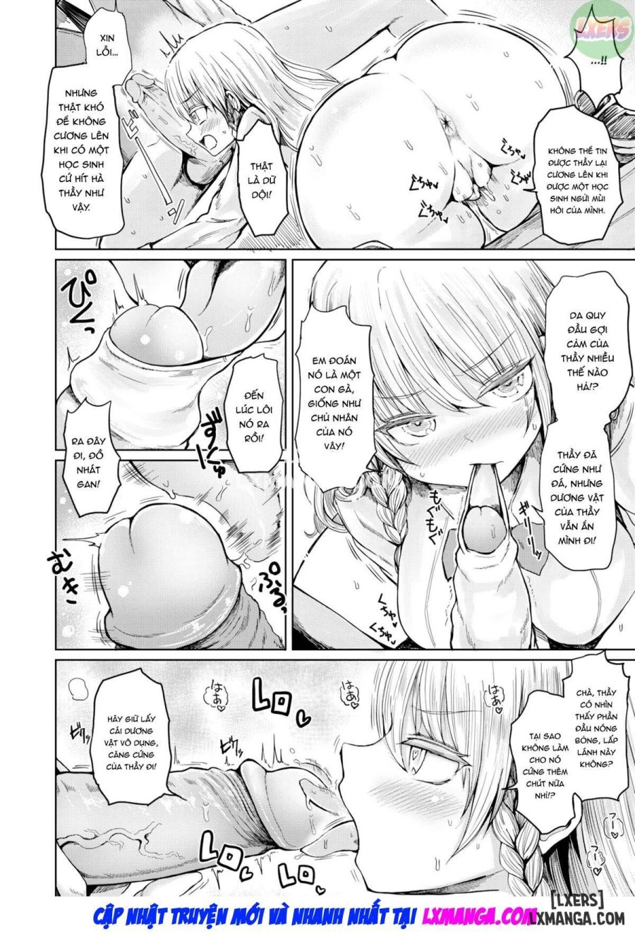 Imported Princess 
