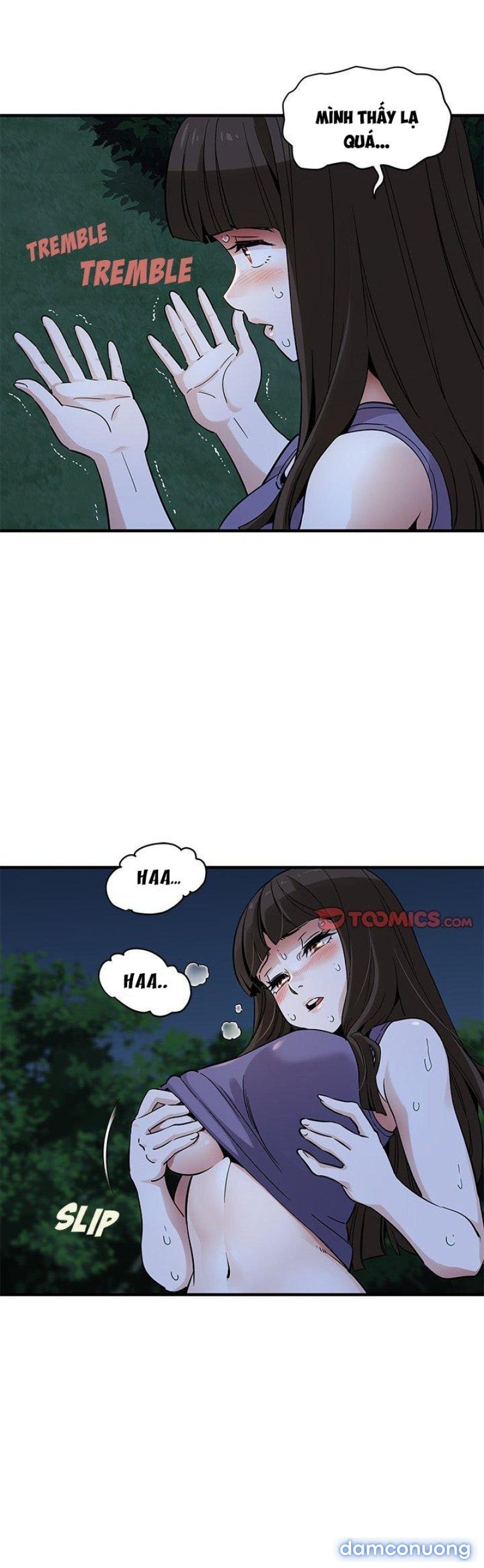 Ông Chú Vệ Sĩ 