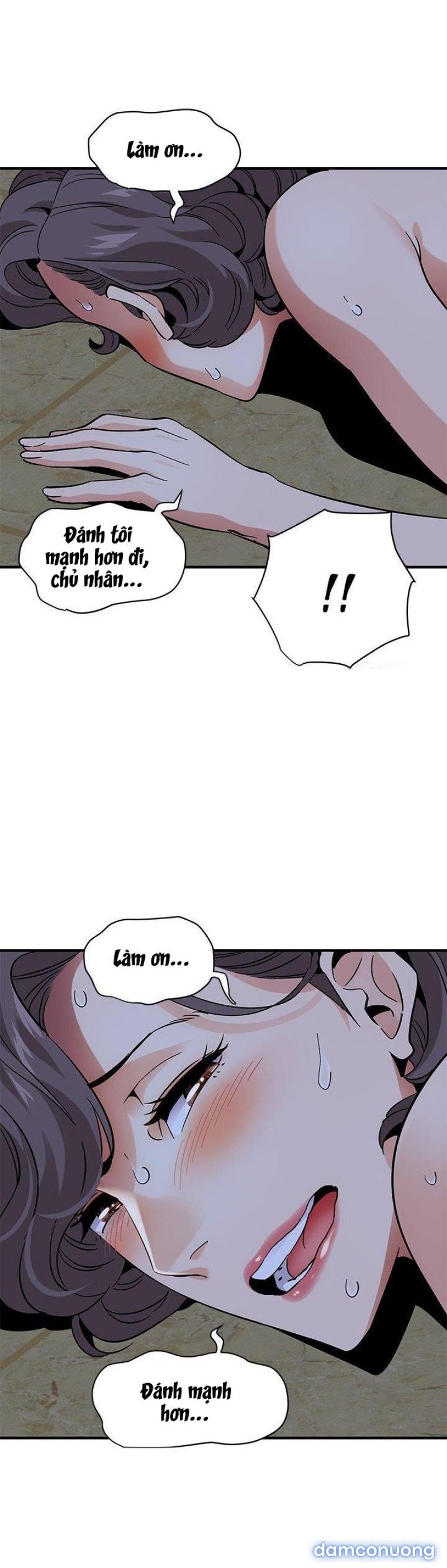 Ông Chú Vệ Sĩ 