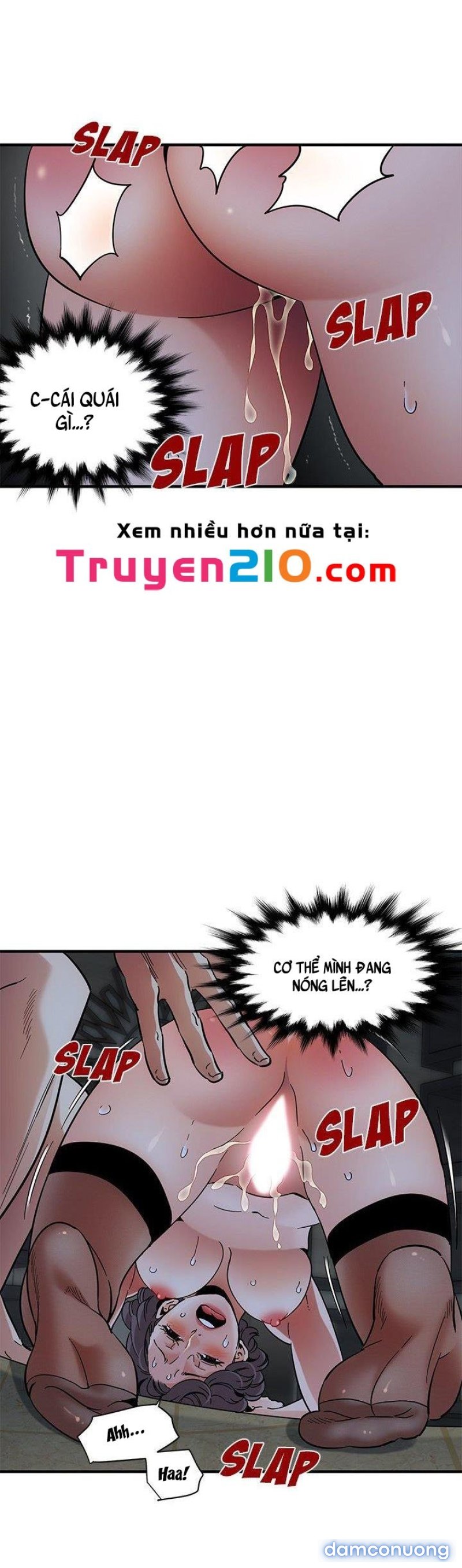 Ông Chú Vệ Sĩ 
