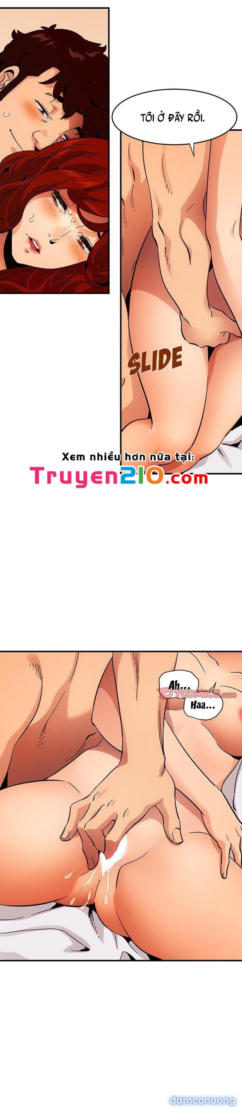 Ông Chú Vệ Sĩ 