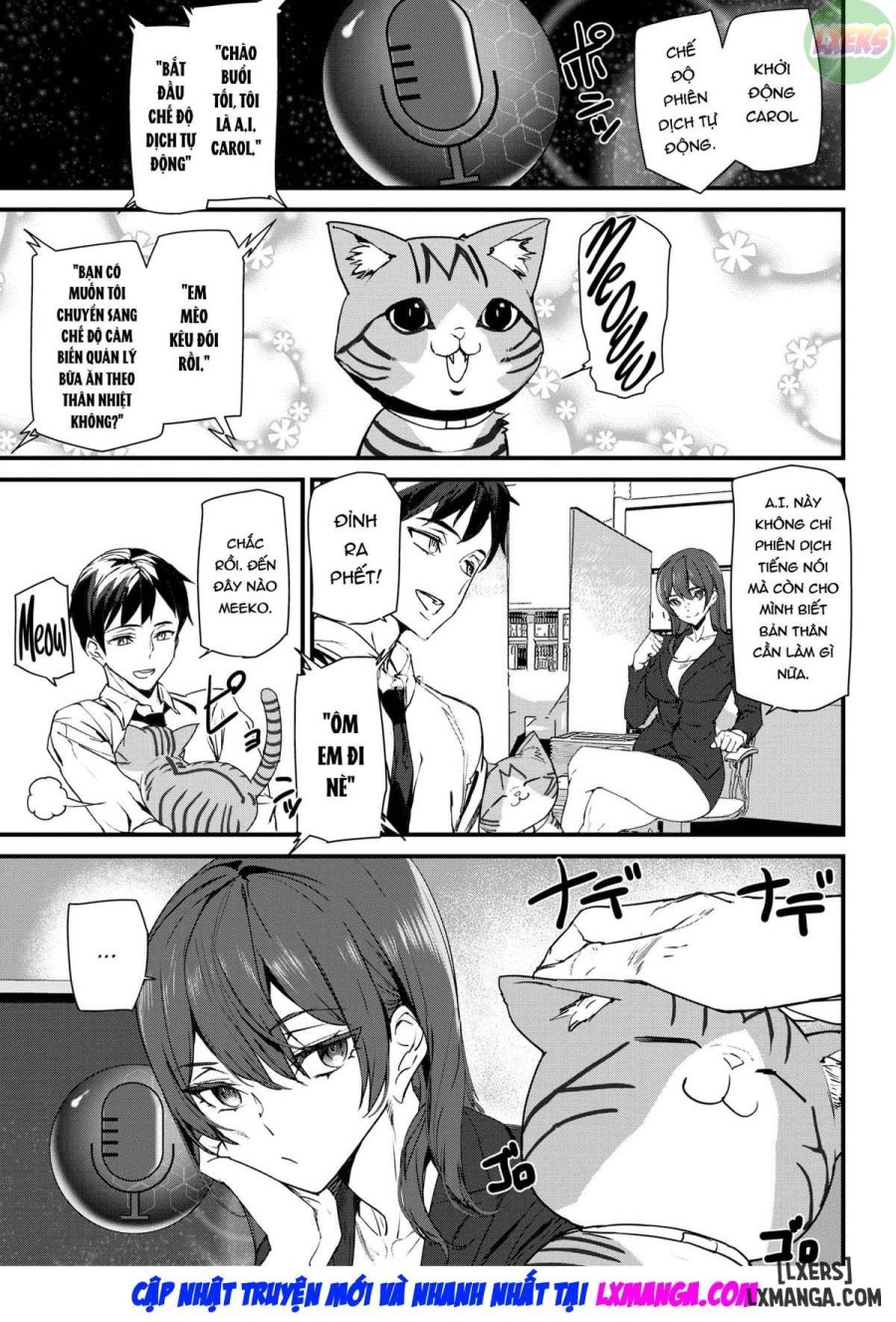 Translator 
