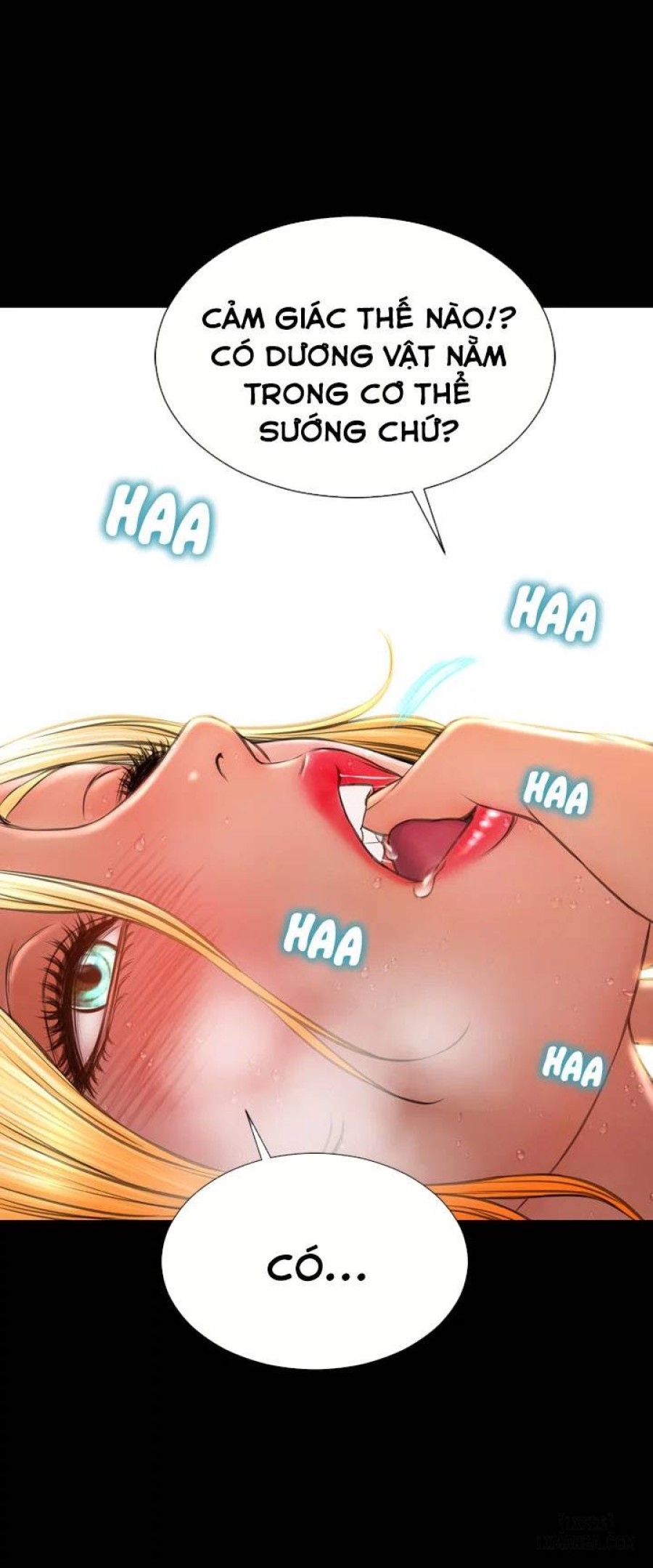 Cửa Hàng Đồ Chơi Người Lớn 
