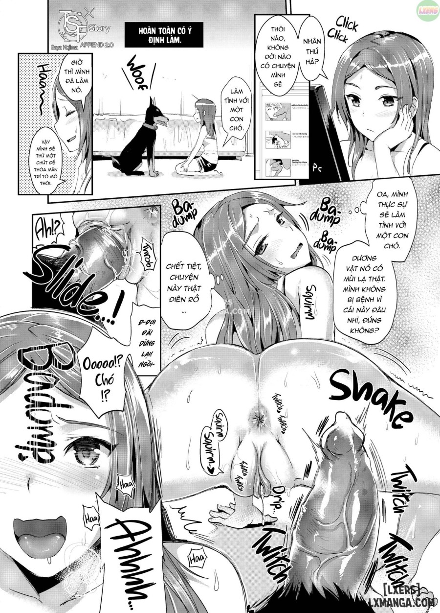 TSF Story Append 