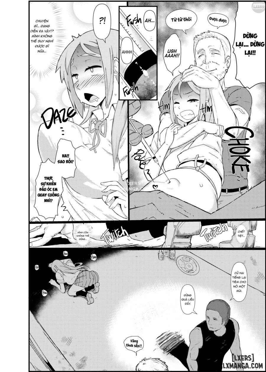TSF Story Append 