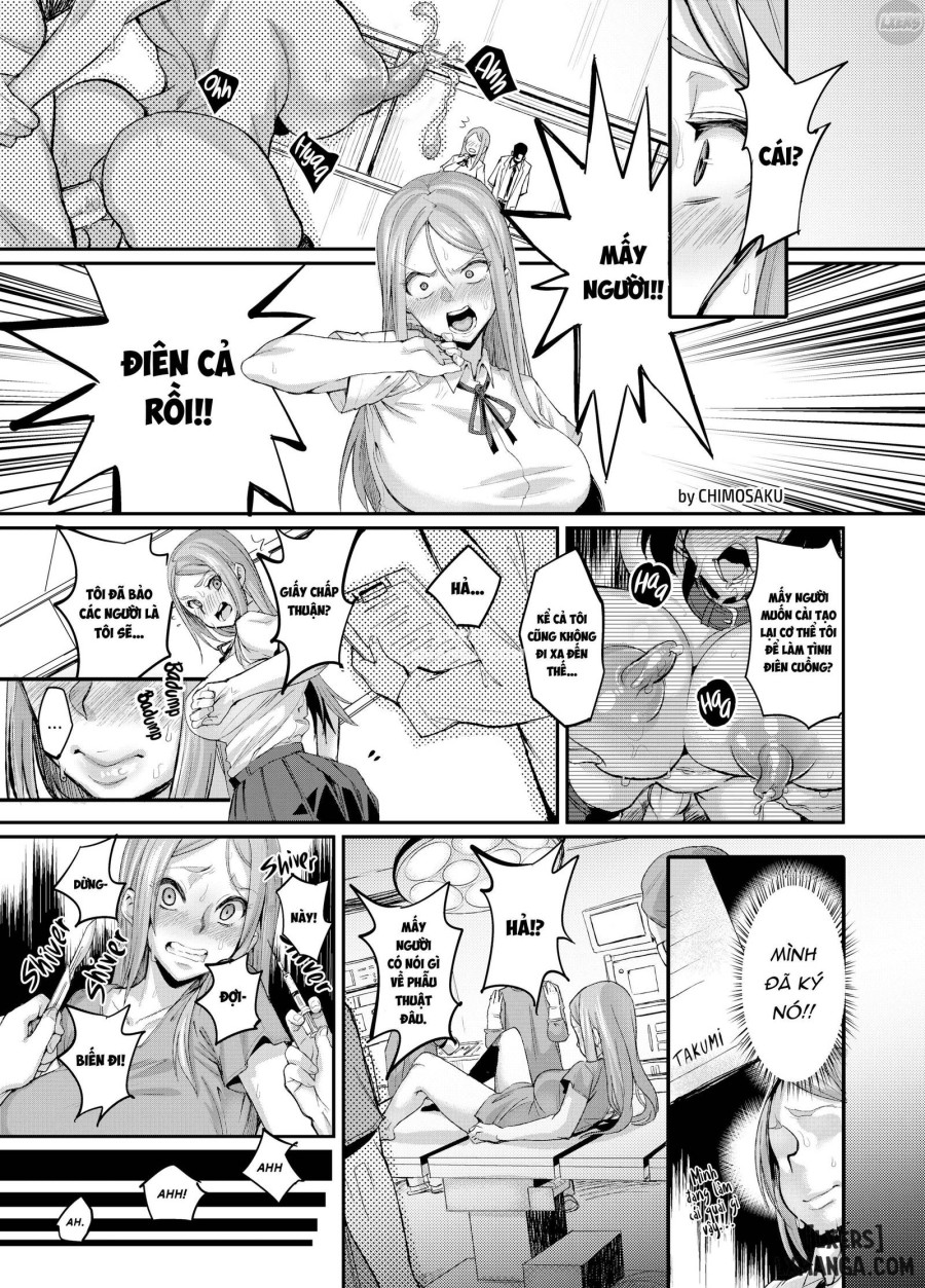 TSF Story Append 